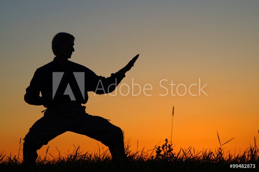 Bild på Man practicing karate on the grassy horizon after sunset Art of self-defense Silhouette against a bright orange sky
